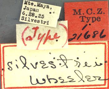 Media type: image;   Entomology 21686 Aspect: labels